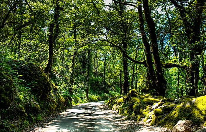 Ciclismo de montaña en el Parque Nacional Peneda-Gerês