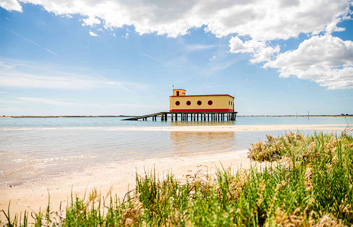 Ciclismo en Ria Formosa y cena gourmet