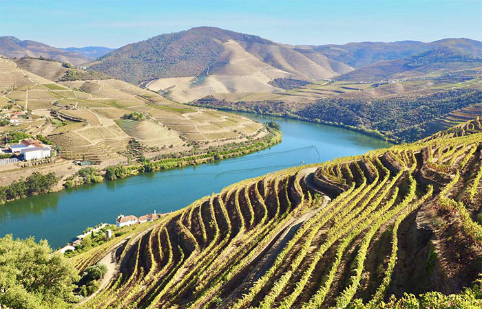 Cómo llegar de Oporto al valle del Duero