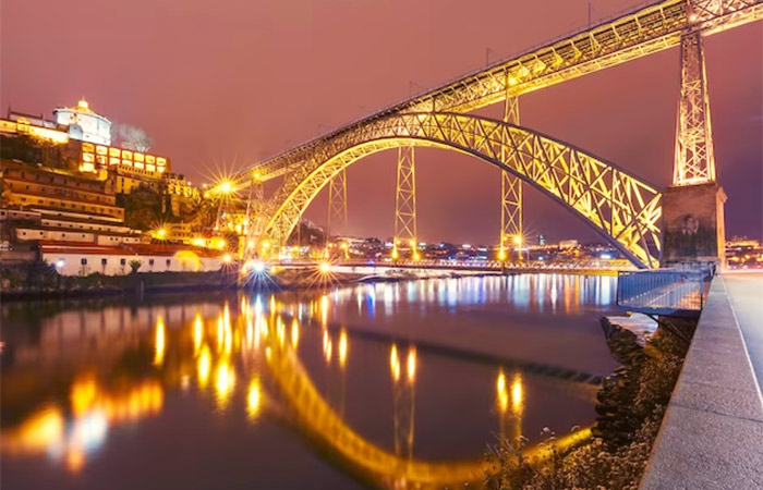 Conozca Oporto, visita a la fábrica de conservas y crucero por el río