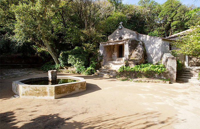 Excursión de un día a Sintra