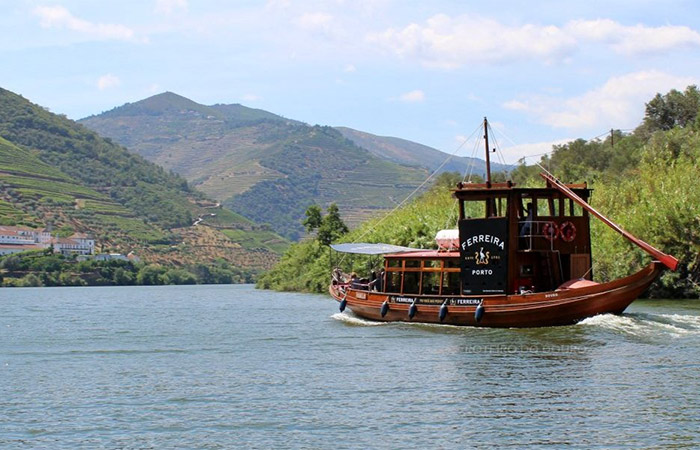 Excursión de un día al valle del Duero: cata de vinos y crucero por el río