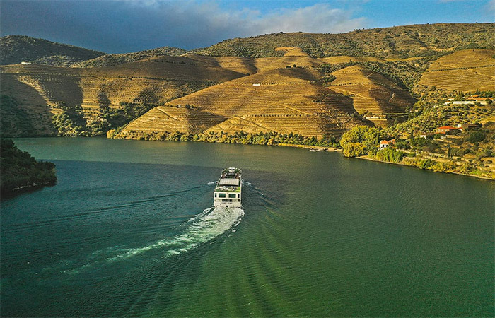 Excursión de un día al valle del Duero, cata de vinos y crucero por el río