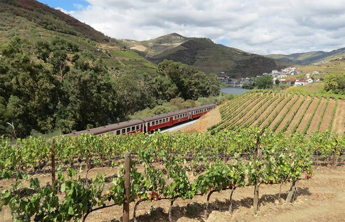 Excursión de un día al valle del Duero, crucero por el río y visita a una bodega