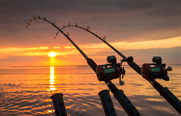 Experiencia de pesca y caminata por la vida silvestre en Figueira