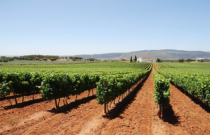 Explora Évora y el Alentejo