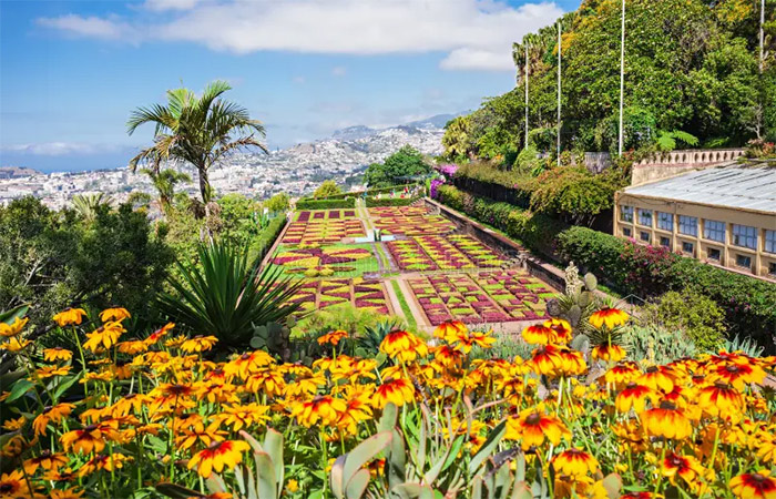 Explora Funchal a tu aire