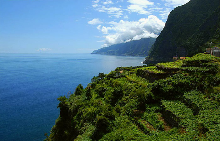 Explora Portugal Oporto, Lisboa y la isla de Madeira