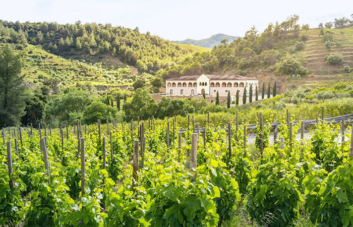 Explora la Costa Brava y visita a la bodega Èmporda