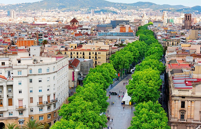 Llegada a Barcelona, tour nocturno de tapas y vinos