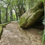 Patrimonio de Sintra y senderos costeros 8 días