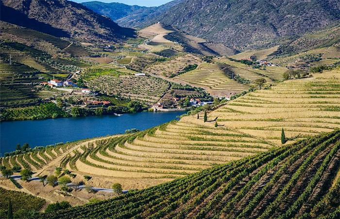 Traslado a la región vinícola del valle del Duero