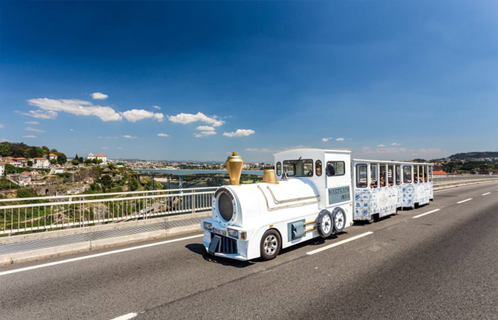 Tren a Oporto, recorrido privado a pie