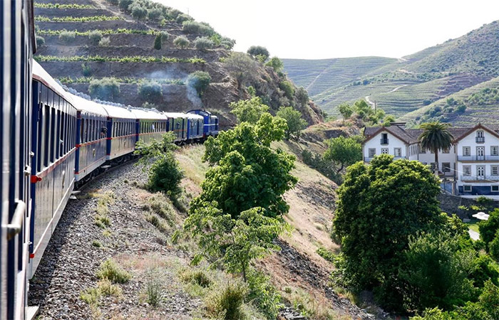 Viaje al valle del Duero