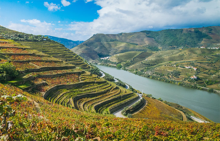 Vino y playas de Portugal: Oporto, valle del Duero y Algarve – 9 días