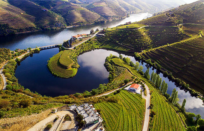 Visita al valle del Duero para una cata de vinos