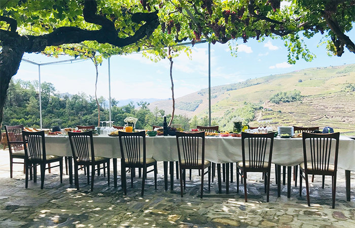 Visita privada a la bodega del valle del Duero