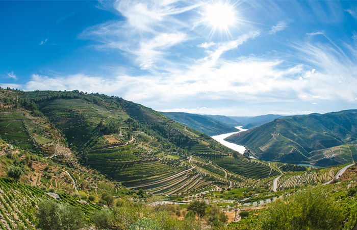 Descubra la región vinícola del valle del Duero