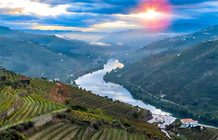 Disfrute de una cata de vinos en el valle del Duero - Traslado a Oporto