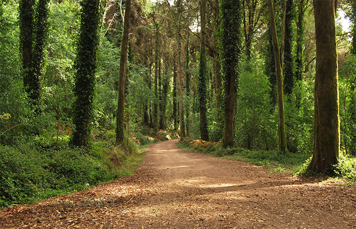 Excursión de un día a Sintra, Cascaes y Estoril