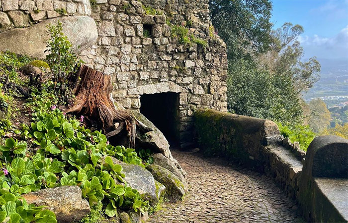 Excursión de un día a Sintra y Cascaes