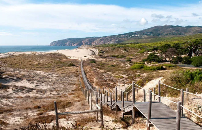 Excursión de un día a la playa de Cascaes y la mágica Sintra