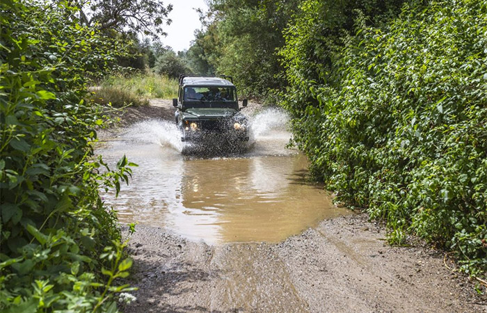 Tour de safari por la naturaleza en jeep