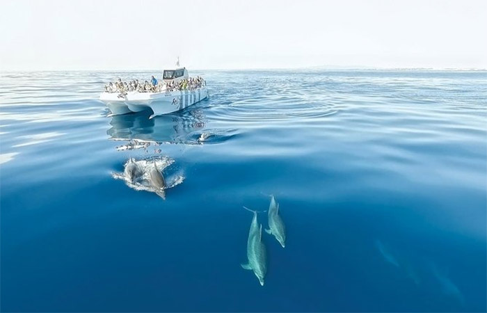 Viaje de pesca y paseo por la vida silvestre en el Algarve