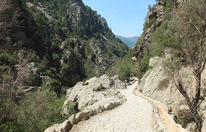 Caminata por la sierra de Tramuntana y recorrido por los pueblos