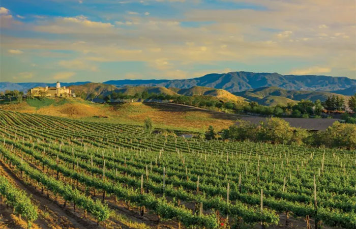 Cata de vinos en la Costa Brava