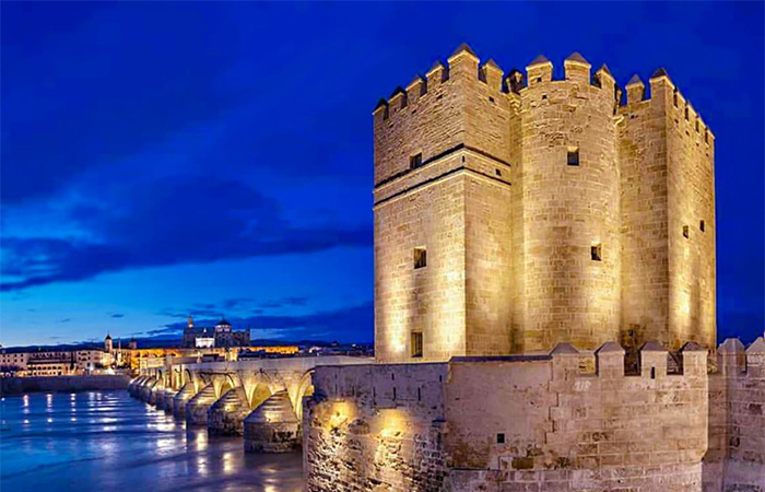 Conducción de Sevilla a Córdoba - Visita guiada - Tren a Madrid