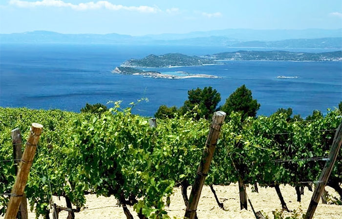 Cata de vinos en el Empordà