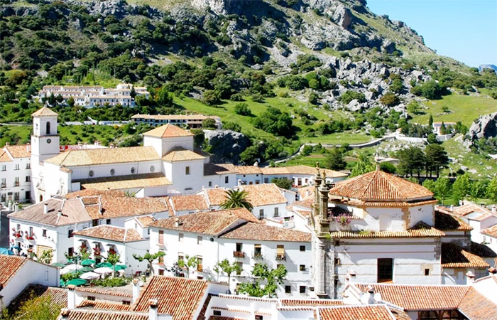 Conducción a Jerez de la Frontera vía Grazalema