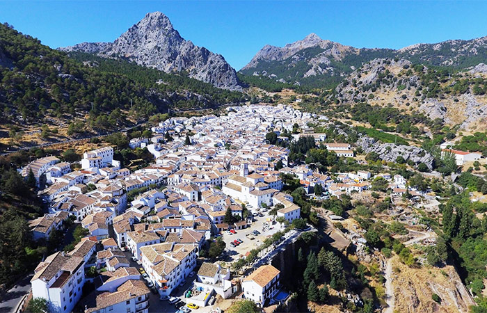 Conducción a Jerez de la Frontera vía Grazalema