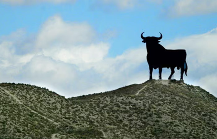 Excursión de un día a una finca de toros, traslado a Granada