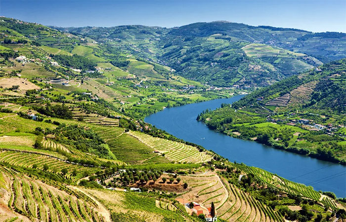 Excursión de un día al valle del Duero recorrido vinícola y crucero fluvial