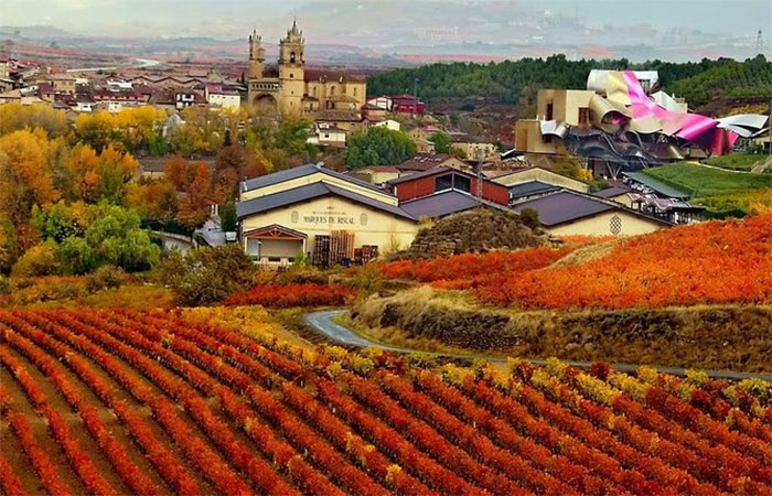 Recogida del coche de alquiler, traslado a Laguardia, excursión del vino