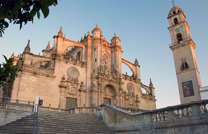 Excursión de un día a Jerez, cata de vinos y caballos danzantes