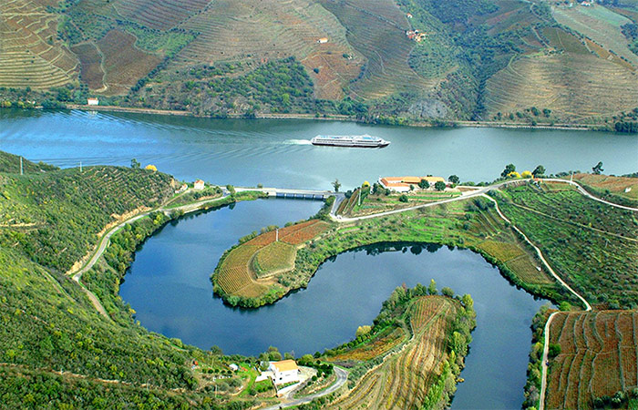 Excursión de un día al valle del Duero, bodega y paseo en barco