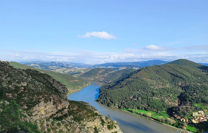 Excursión de un día al valle del Duero con crucero por el río y visita a una bodega