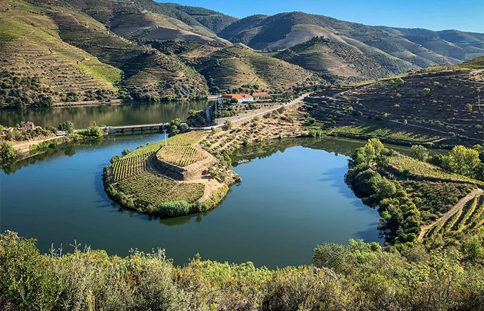 Excursión de un día al valle del Duero, recorrido vinícola y crucero fluvial