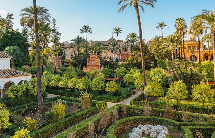 Explora la Catedral de Sevilla y el Real Alcázar