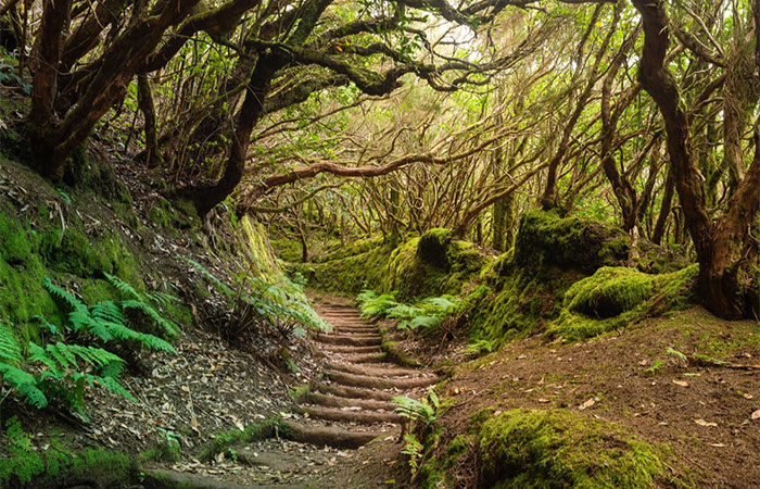 Parque Nacional de Anaga