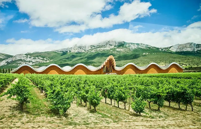 Recogida del coche de alquiler - Conducción desde Madrid a Laguardia - Ruta del vino