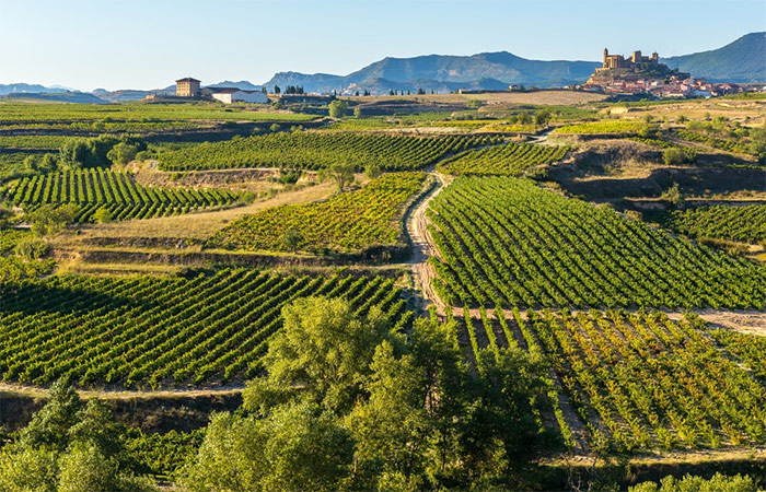 Recogida del coche de alquiler y traslado a La Rioja