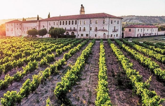 Recorrido gastronómico y vinícola por la campiña