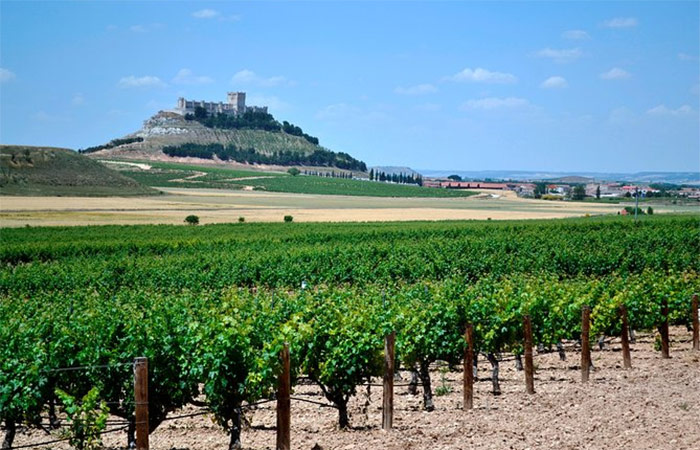 Viaje a Ribera del Duero