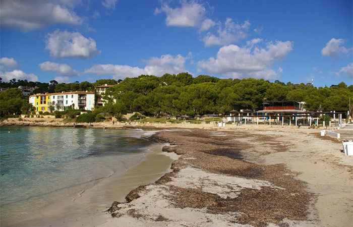 Vuelo a Mallorca (España), tiempo de playa