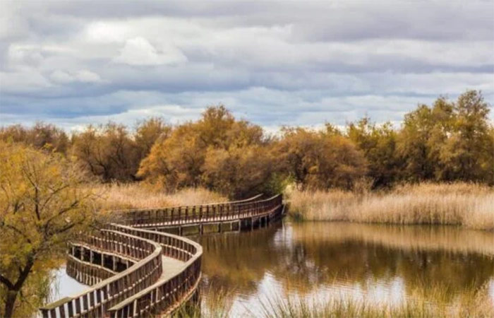 Conducción a Almagro vía Las Tablas de Daimiel