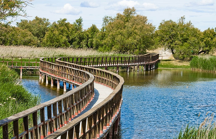 Conducción desde Daimiel a Almagro - Recorrido por el Parque Nacional